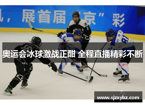 奥运会冰球激战正酣 全程直播精彩不断 奥运会冰球激战正酣 全程直播精彩不断